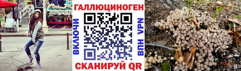 Псилоцибиновые грибы прущие грибы  Тейково 
