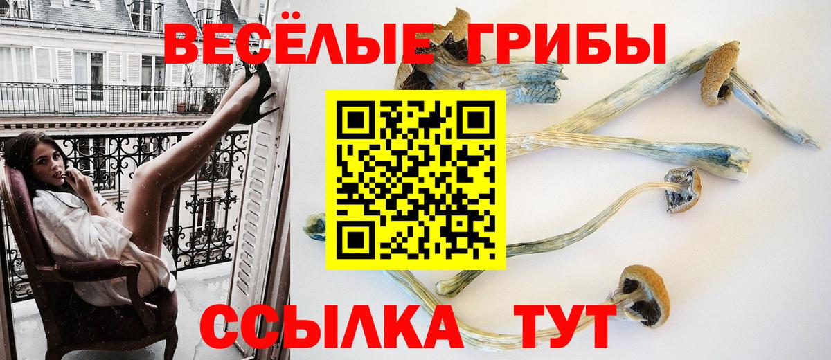 Псилоцибиновые грибы мухоморы Тейково