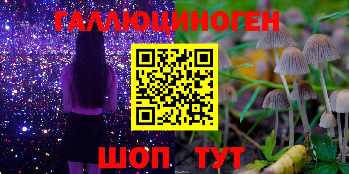Галлюциногенные грибы Cubensis  Псилоцибиновые грибы Psilocybe  Тейково  Вход с VPN 
